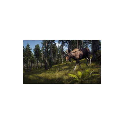 Jeu Xbox X THQ Way Of The Hunter Wild Expeditions