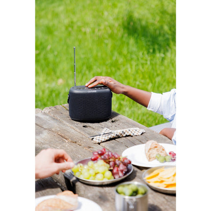 Radio DAB PURE Woodland Black