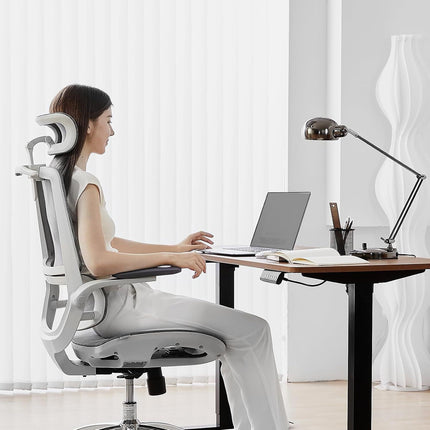 Fauteuil ergonomique SIHOO M59AS chaise ergonomique gris