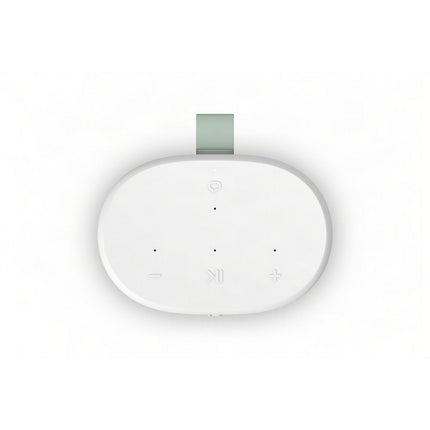 Enceinte portable SONOS Play
