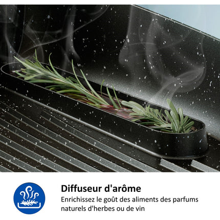 Plancha électrique PHILIPS HD6212/90 couvercle verre à poser, 50x25 cm