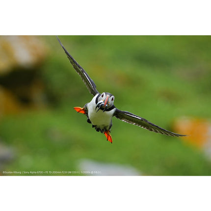 Appareil photo Hybride SONY A6700 Noir
