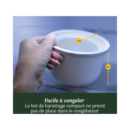 Sorbetière CUISINART Freeze Wand ICEFD10E