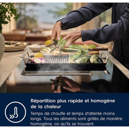 ACCESSOIRE ELECTROLUX Plancha grill pour four et table E9HHPG11