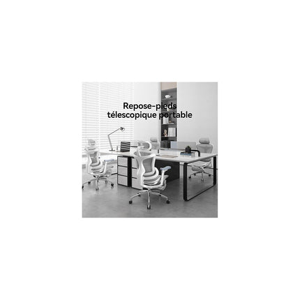 Fauteuil ergonomique SIHOO C300L JT chaise ergonomique blanc