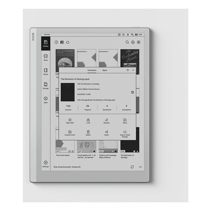 Liseuse eBook BOOX Go 10.3