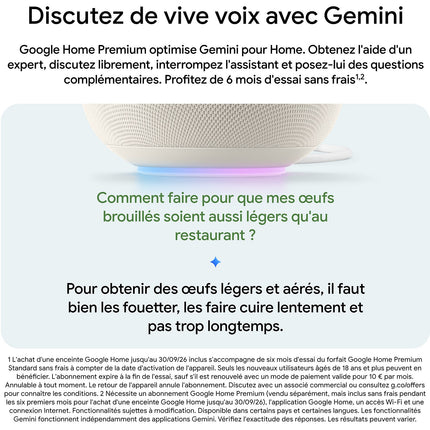 Assistant vocal GOOGLE Home Speaker Porcelaine