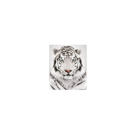 Papier photo AVERY 20 Photos mates A4 170g/m²