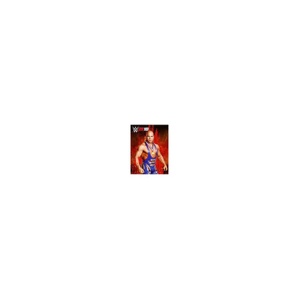 Jeu PS4 TAKE 2 WWE 2K18