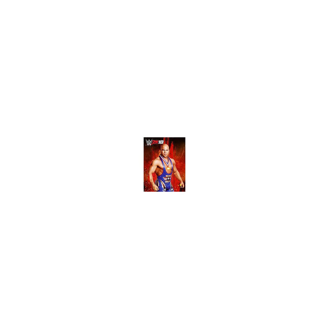 Jeu PS4 TAKE 2 WWE 2K18