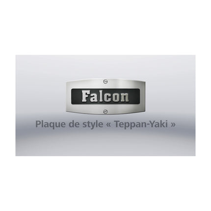 Piano de cuisson gaz FALCON PROFESSIONAL + FXP 90 MIXTE