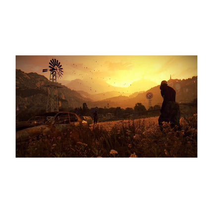 Jeu PS4 WARNER Dying Light The Following