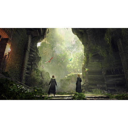 Jeu PS4 WARNER HOGWARTS LEGACY PS4
