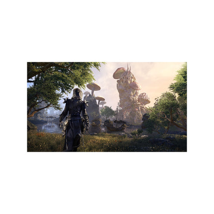 Jeu PS4 BETHESDA Elder Scrolls Morrowind