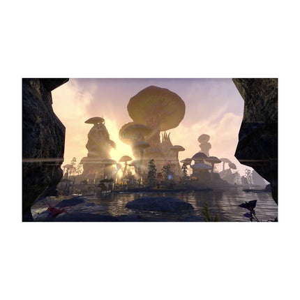 Jeu PS4 BETHESDA Elder Scrolls Morrowind