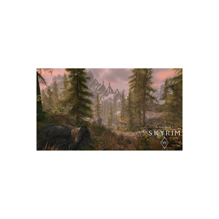 Jeu PS4 BETHESDA Jeu VR Skyrim