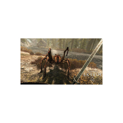 Jeu PS4 BETHESDA Jeu VR Skyrim