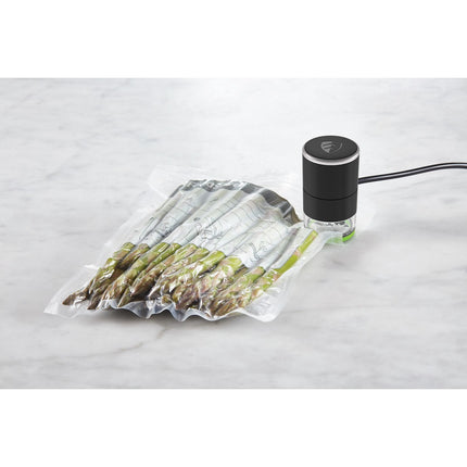 Machine sous vide FOOD SAVER VS3190X01