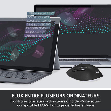 Clavier + Souris LOGITECH MK850