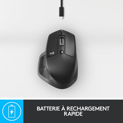 Souris sans fil LOGITECH MX Master 2S - Graphite