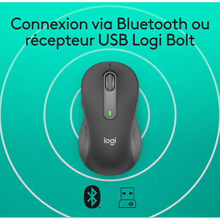 Souris sans fil LOGITECH Signature M650 Graphite