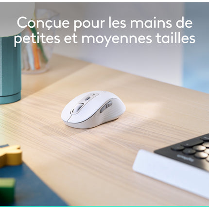 Souris sans fil LOGITECH Signature M650 Graphite