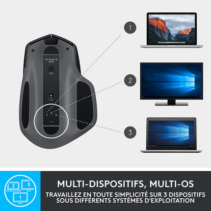 Souris sans fil rechargeable LOGITECH MX Master 2S Graphite