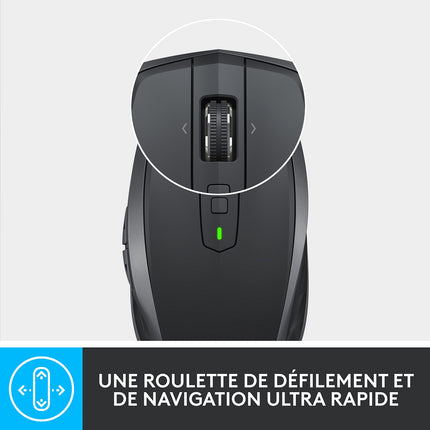 Souris sans fil rechargeable LOGITECH MX Anywhere 2S Gris pale