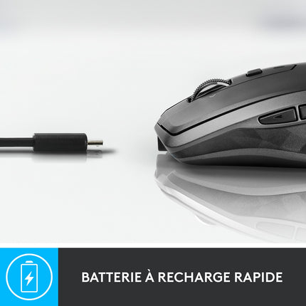 Souris sans fil rechargeable LOGITECH MX Anywhere 2S Gris pale