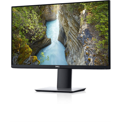 Ecran DELL P2419H