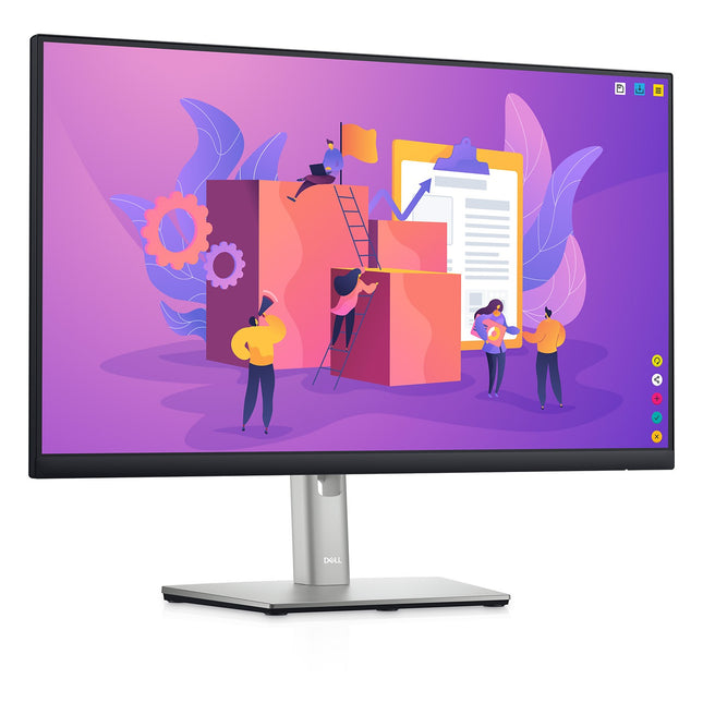 Ecran PC DELL P2422H Pro