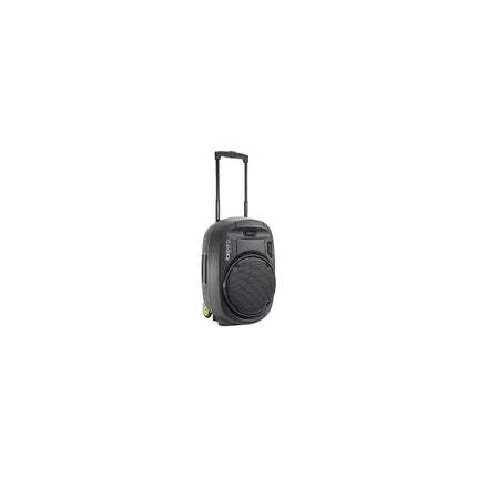 Enceinte sono IBIZA PORT12VHF-MKII