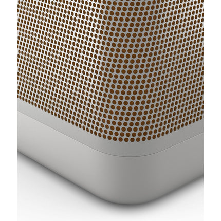 Enceinte portable BANG & OLUFSEN Beolit 20 Anthracite