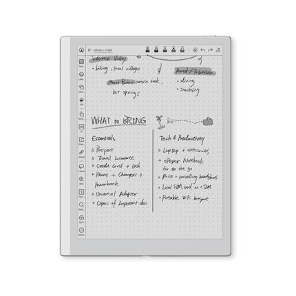 Liseuse eBook BOOX Go 10.3 2e gen