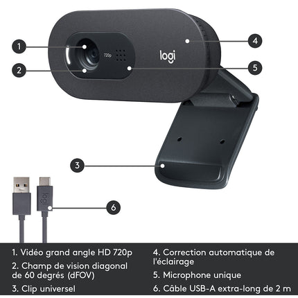 Webcam LOGITECH C505 HD