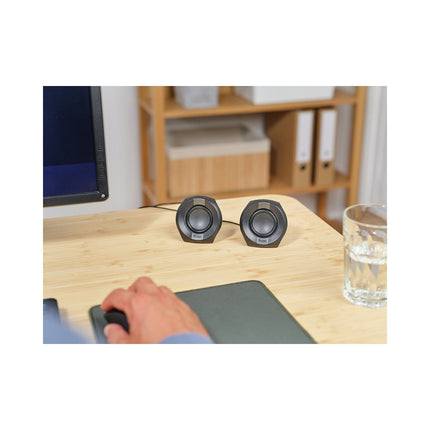 Enceinte PC TRUST 2.0 POLO