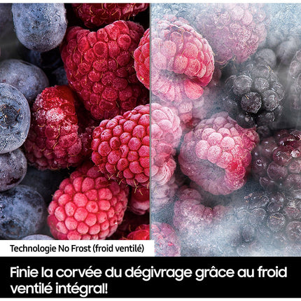 Congélateur encastrable SAMSUNG BRZ22600EWW/EF