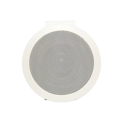 Enceinte encastrable DAVIS 100 RO