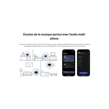 Lecteur réseau HiFi WIIM Mini