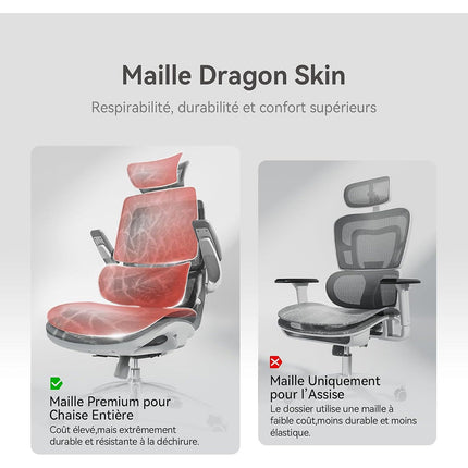 Fauteuil ergonomique SIHOO M59AS chaise ergonomique gris