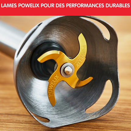 Mixeur MOULINEX INFINYFORCE AVEC ACCESSOIRE XL DD94L810