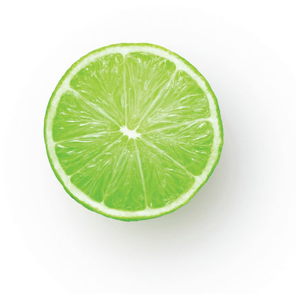 Presse-agrumes SAGE APPLIANCES the Citrus Press Pro