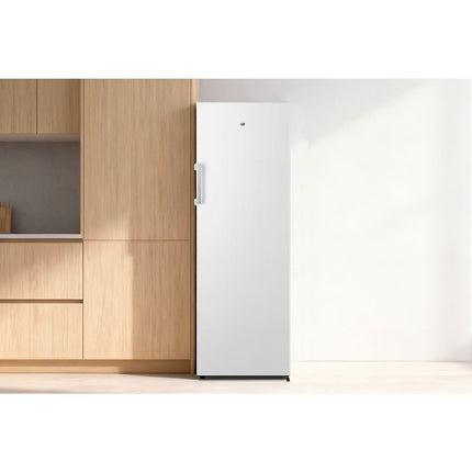 Congélateur armoire ESSENTIELB ECAV170-55hib4
