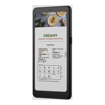 Liseuse eBook BOOX Palma 2 Pro noir