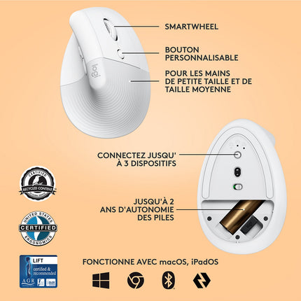 Souris sans fil LOGITECH Lift Ergonomique Silencieuse Graphite