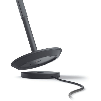 Lampe connectée PHILIPS HUE GO Noir White&Color Ambiance