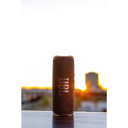 Enceinte portable JBL Flip 6