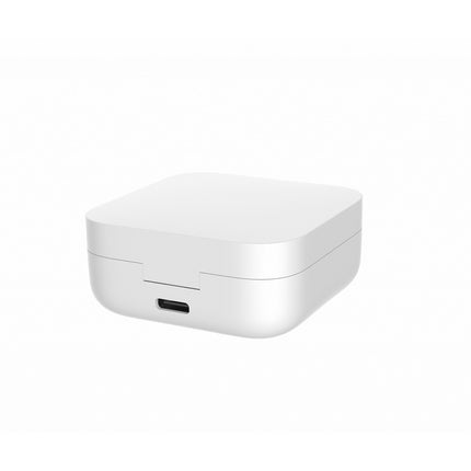 Ecouteurs XIAOMI Mi True Wireless Earphones 2 Basic