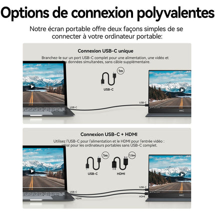 Ecran PC HKC 15.6" Full HD IPS USB-C - HKC V16 - Nomade & Dual Screen