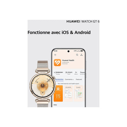 Montre connectée HUAWEI Watch GT6 41mm Or